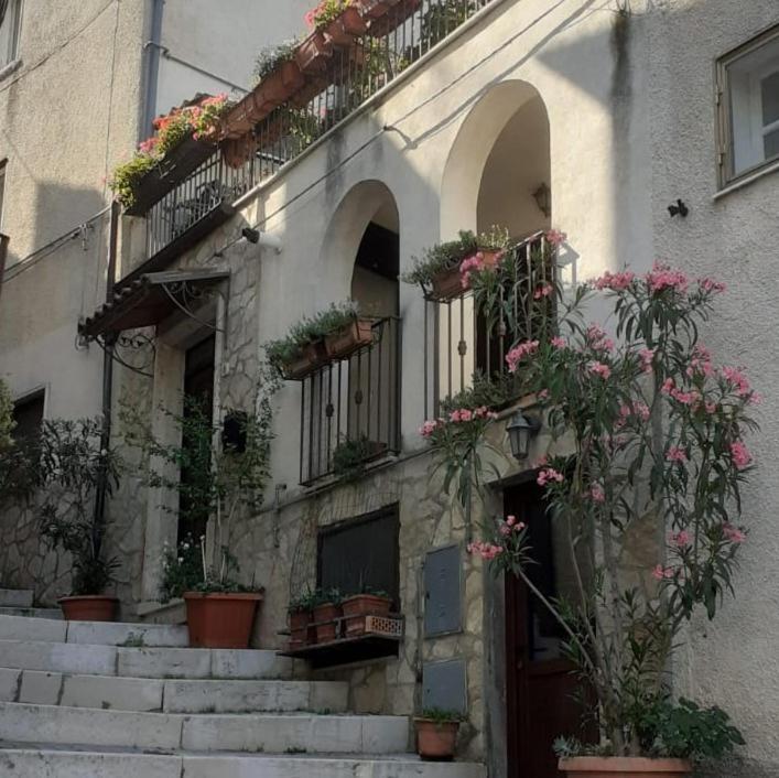 Villa Porta Del Colle à Roccavivara Extérieur photo